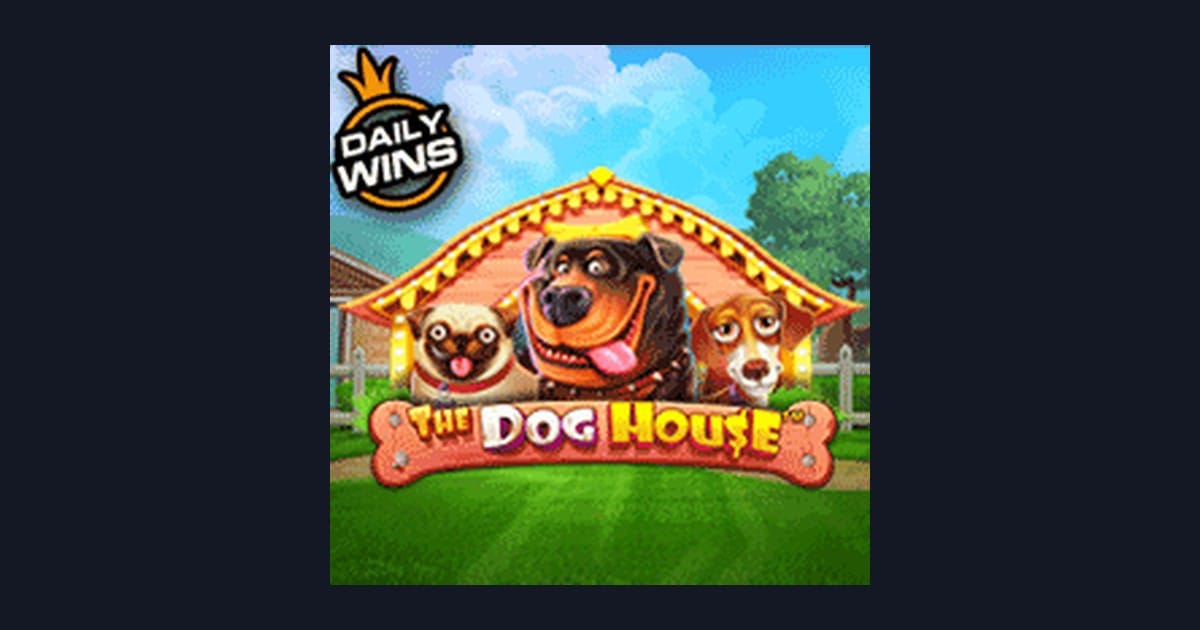 Rahasia Menang Slot The Dog House untuk Pemula Modal Terbatas