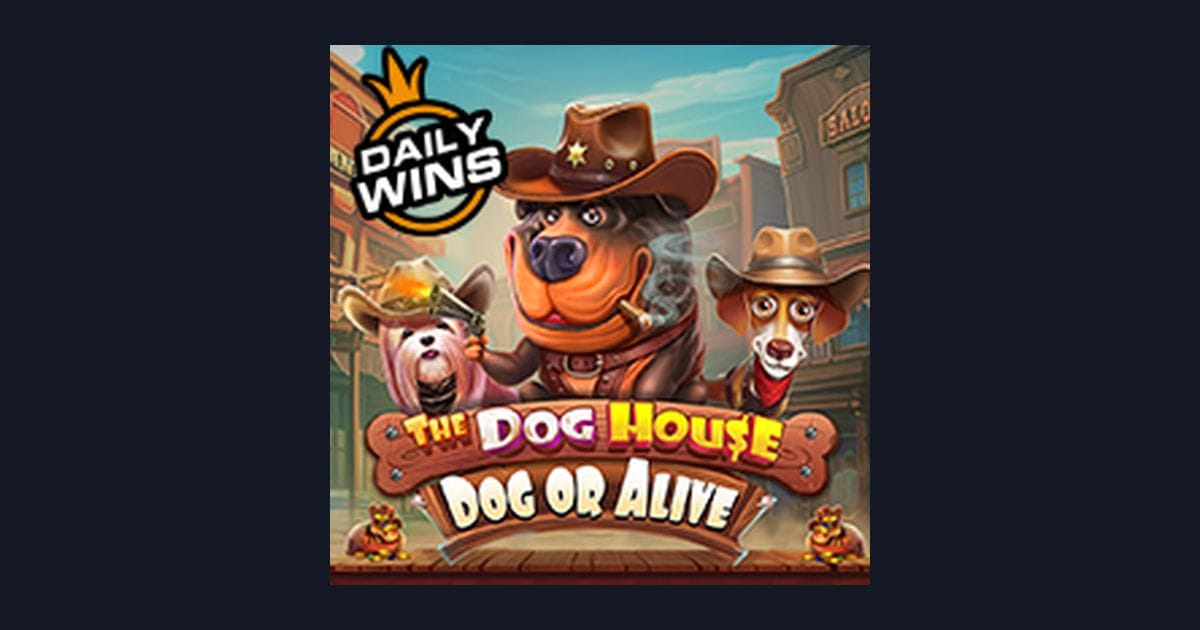 Rahasia Menang The Dog House Dog Or Alive dengan Modal Kecil untuk Pemula
