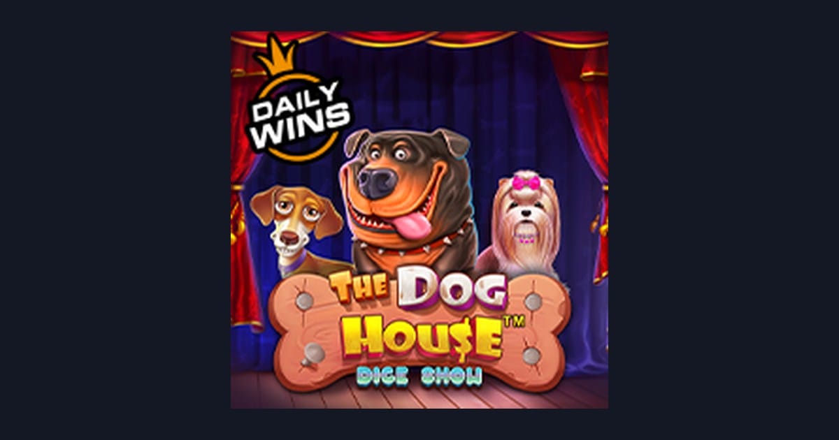 Rasakan Serunya The Dog House Dice Show dengan Info RTP Live Tertinggi
